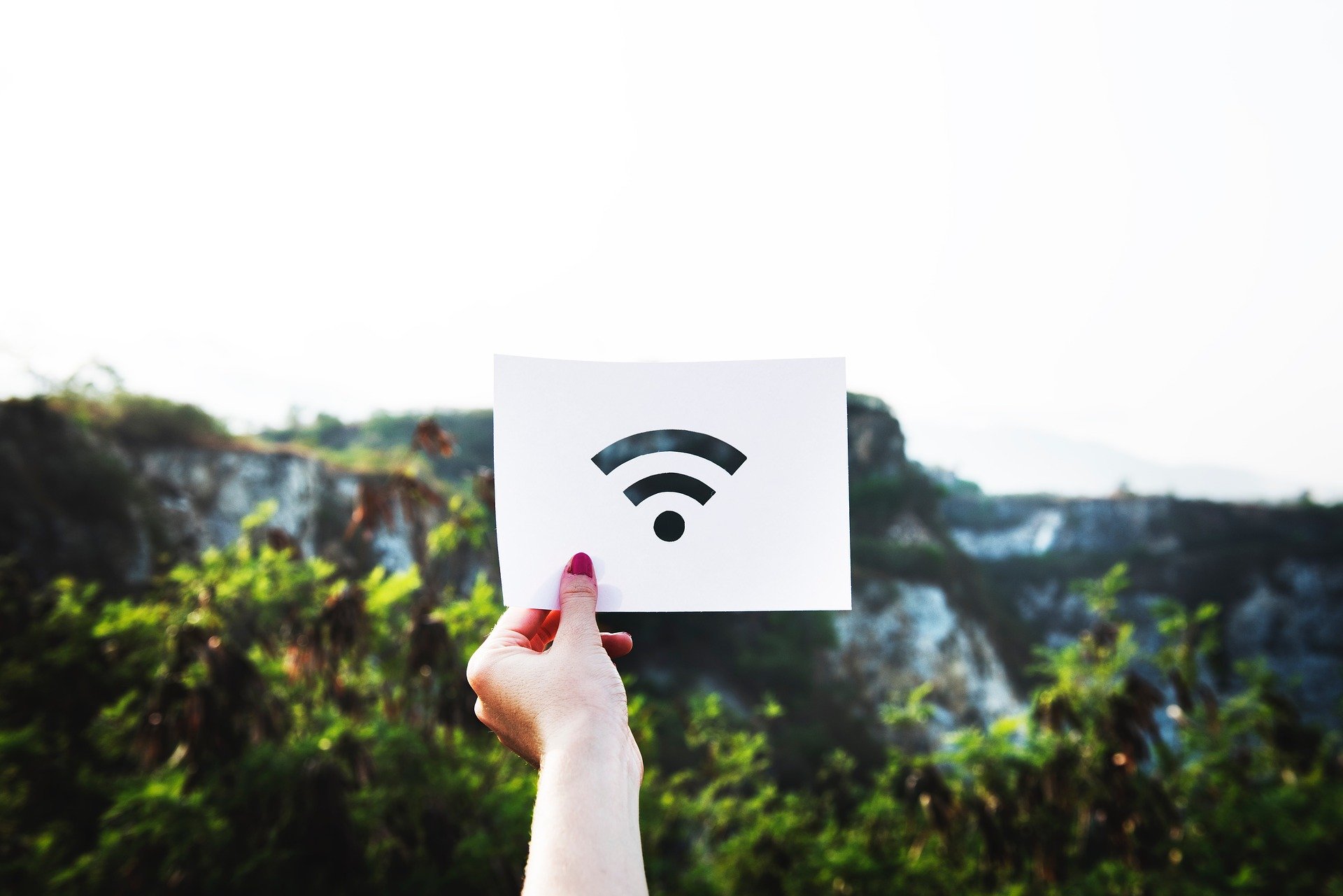 Wi-Fiの購入から学んだ、電波と無線LANとの関係とは？？？ | SceneEvolution｜女子大生による起業ブログ